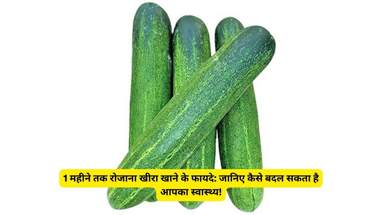 1 महीने तक रोजाना खीरा खाने के फायदे: जानिए कैसे बदल सकता है आपका स्वास्थ्य!